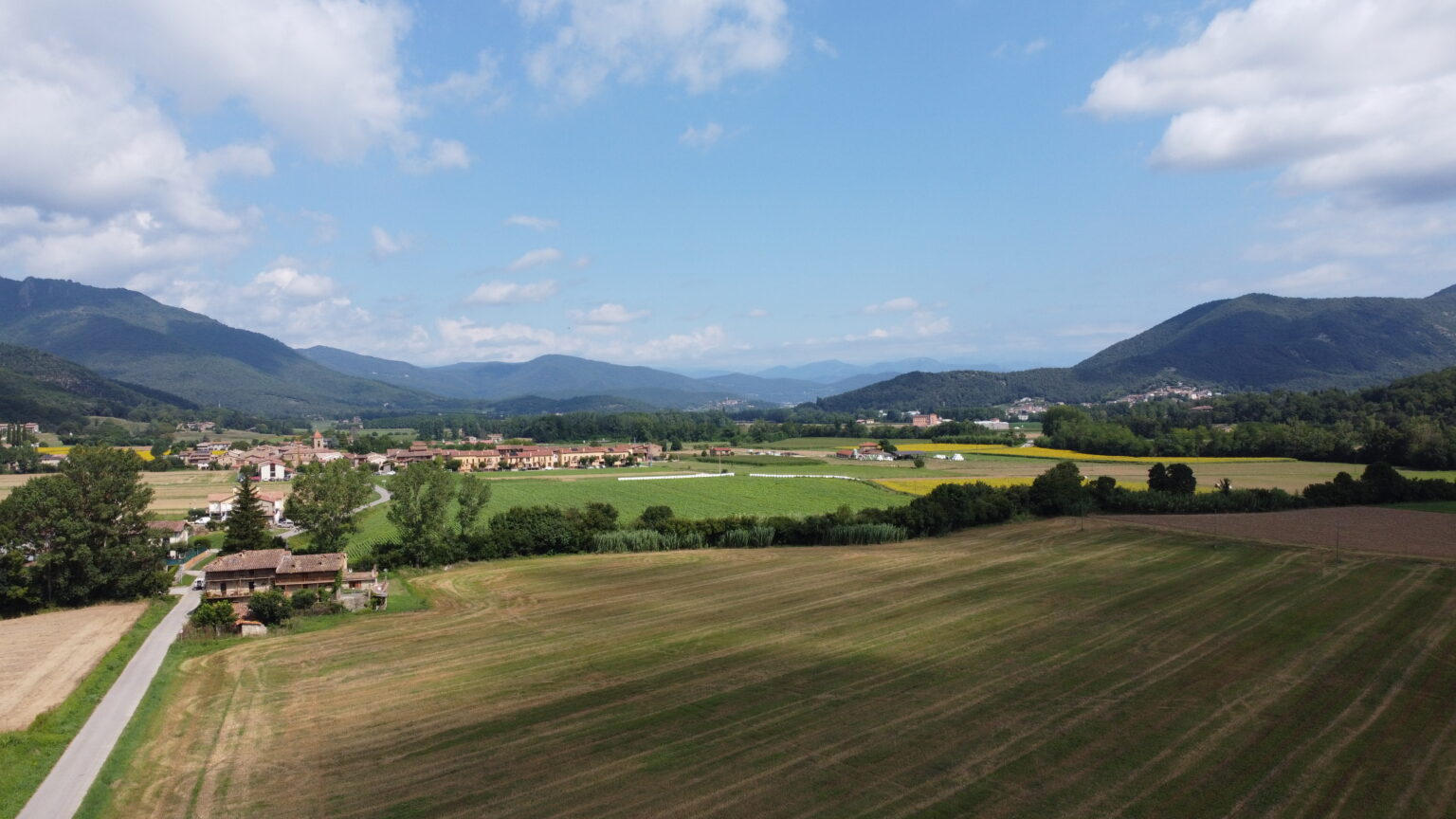 Carretera dreta entre boscos de la Garrotxa